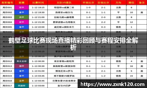 先锋2娱乐
