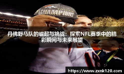丹佛野马队的崛起与挑战：探索NFL赛季中的精彩瞬间与未来展望